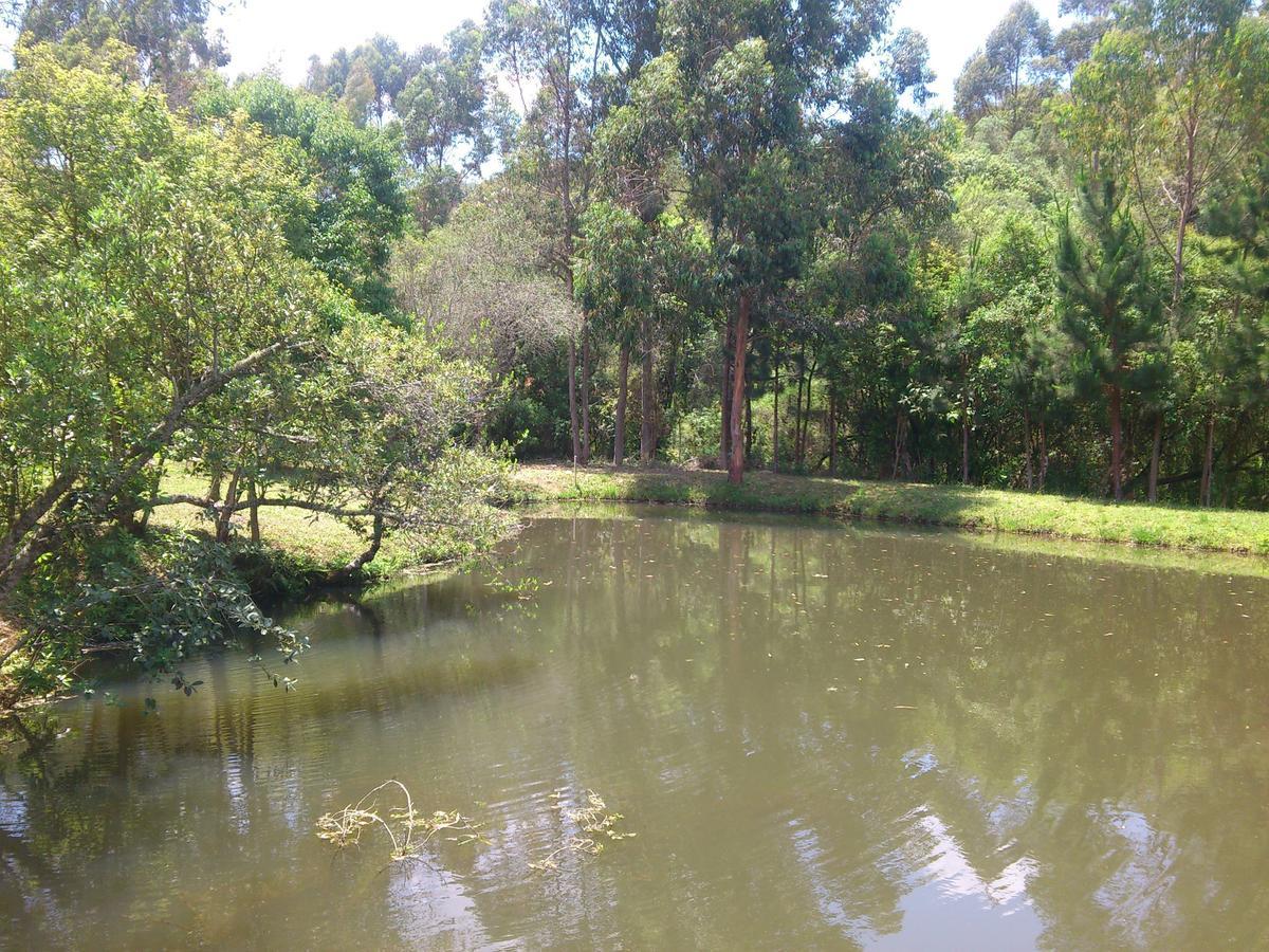 Pousada Ilhas Do Sol Senador Amaral Chambre photo